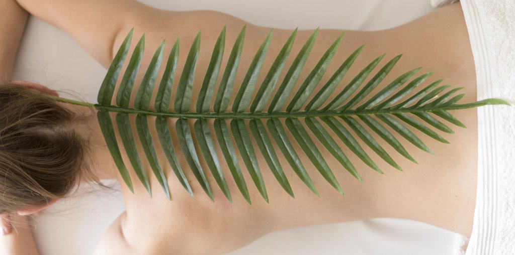 top-view-leaf-woman-back (1).jpg top-view-leaf-woman-back (1).jpg