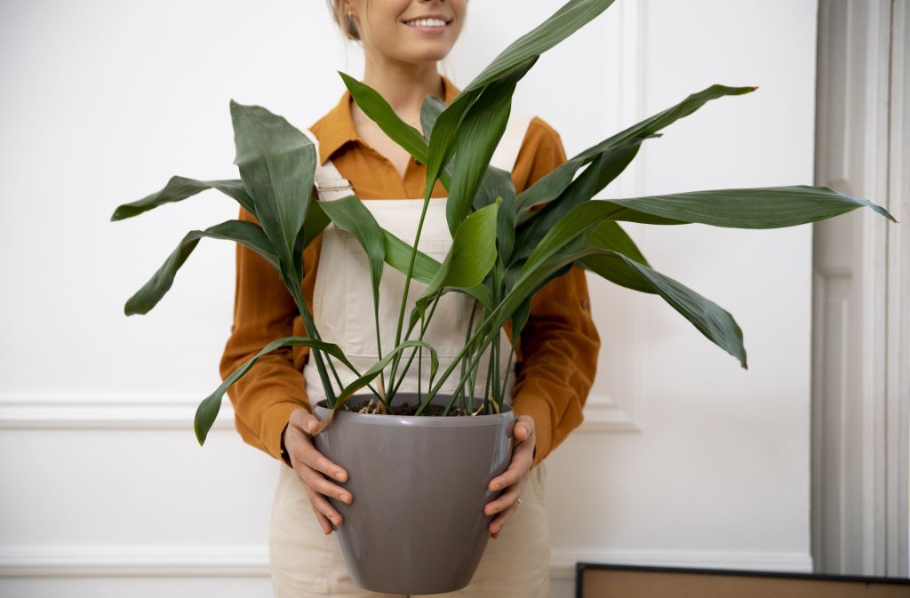 young-woman-moving-new-home2.jpg young-woman-moving-new-home2.jpg
